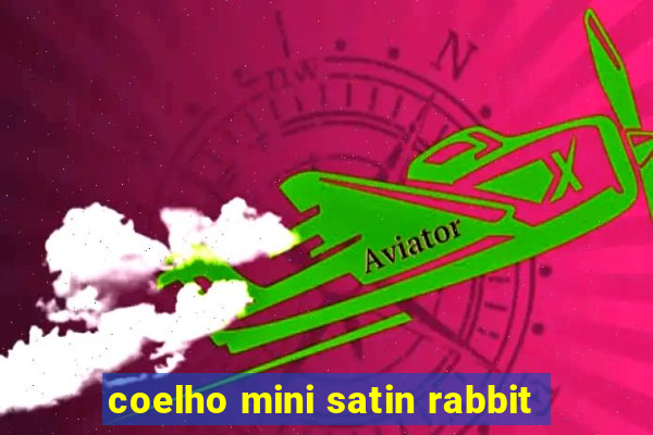 coelho mini satin rabbit